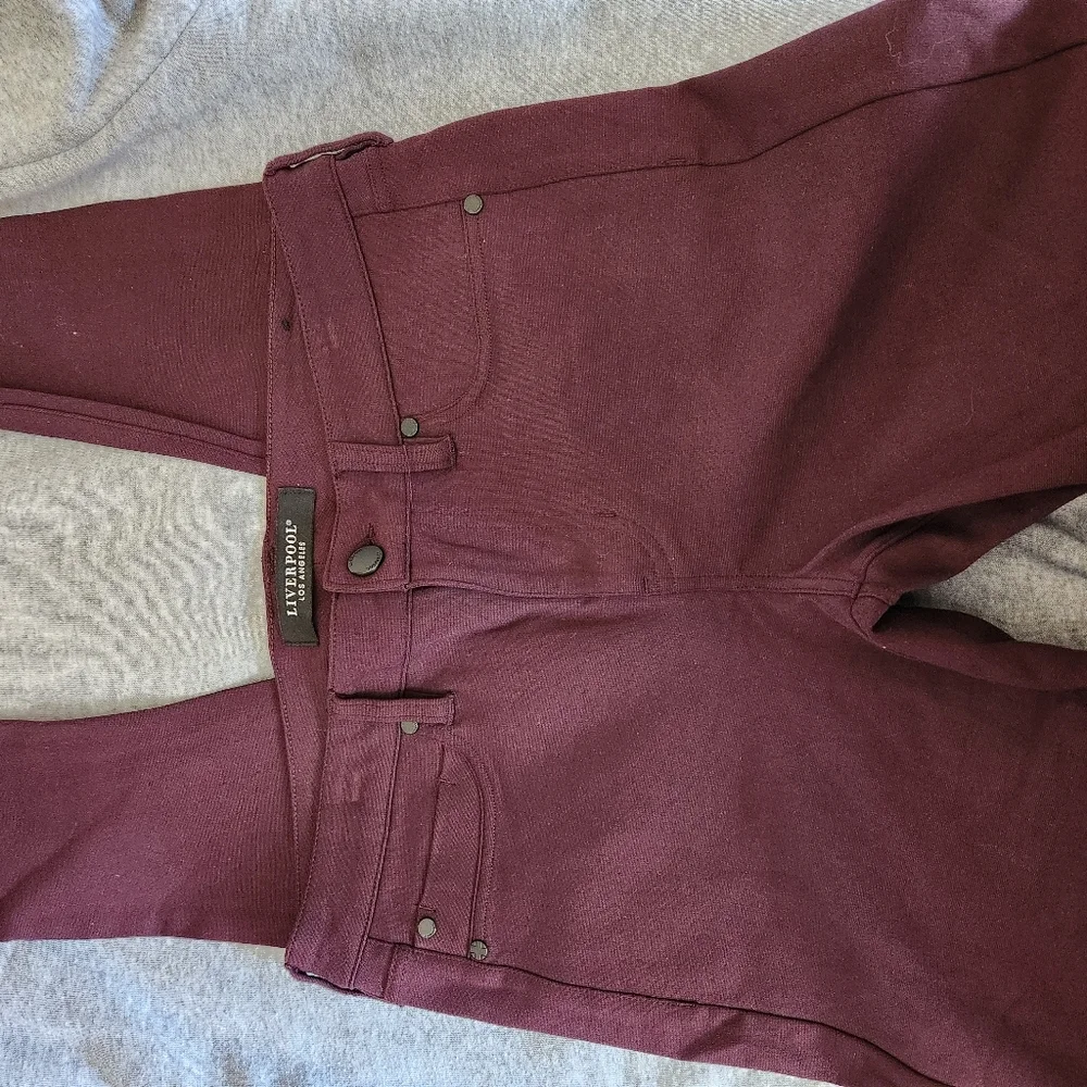Liverpool Dark Plum Pants - Picture 3 of 8